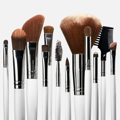 Professional Set of 12 Makeup Brushes